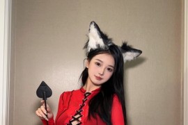[微密]卡通百科老王 – 猫警长 [10P-13M]