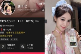 唐十七 – 微密圈&秘语空间写真&视频合集【持续更新中】