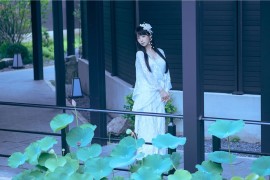 Shika小鹿鹿 新中式 [21P-500MB]