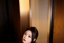 [秀人网] 2024.12.20 NO.9634 杨晨晨Yome  黑色职业装[96P/817MB]