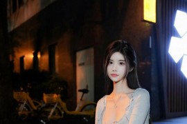 [秀人网] 2024.11.01 NO.9383 Erikaki 灰色连衣短裙[89P/880MB]