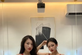 [微密]lelepigbaby – 红色透明文胸姐妹成双快乐加倍[29P-110MB]