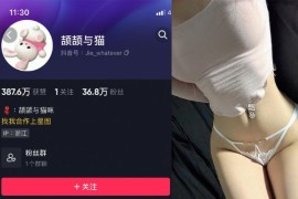 颉颉与猫 – 微密圈超清晰写真&视频打包区【持续更新中】