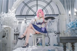 大大卷卷小卷 崩坏3 爱莉希雅女仆 [29P-170MB]