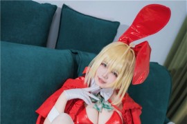 阿半今天很开心 Fate 圣诞节 尼禄 [71P-1.01GB]