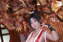 水淼Aqua ShiranuiMai 不知火舞[67P-95MB]