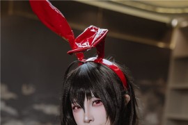 二佐Nisa 碧蓝航线 大凤兔女郎 [31P]