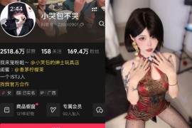 小哭包不哭 – 微密圈、岛遇等写真&视频合集【持续更新中】
