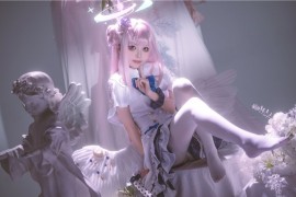 矢量鱼 蔚蓝档案 圣园未花 [27P-327MB]