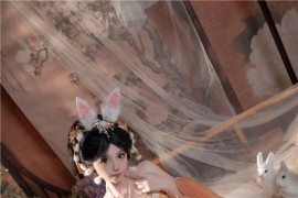 Bangni邦尼 中秋节玉兔[88P6V-1.38G]