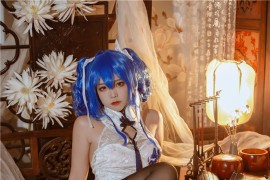 二佐Nisa 圣路易斯 春之华 [29P-527MB]