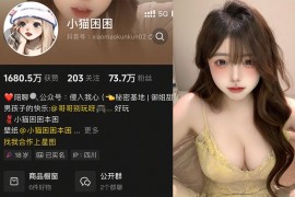 小猫困困 – 微密圈超清晰美图写真&视频合集【持续更新中】