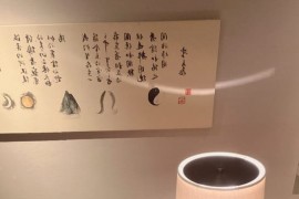 【微密】洁己-桌子上摩擦 [29P-272M]