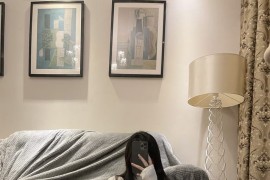 【微密】梦里一只喵-白色吊带袜[18P-42M]