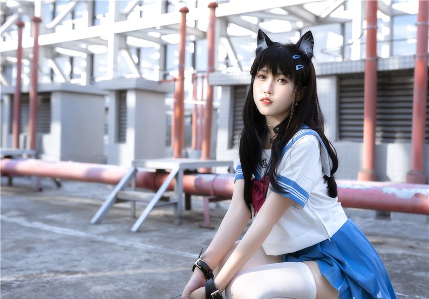 不呆猫 天台小m猫 [96P1V-663MB] 第1张