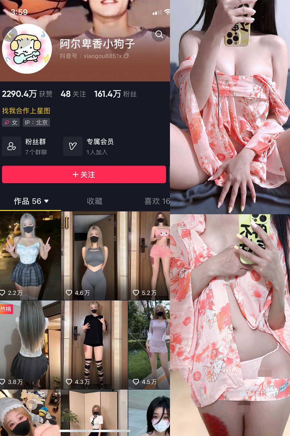 抖音 阿尔卑香小狗子 微密圈 NO.052期 【22P4V】最新至：2024.7.11 第1张