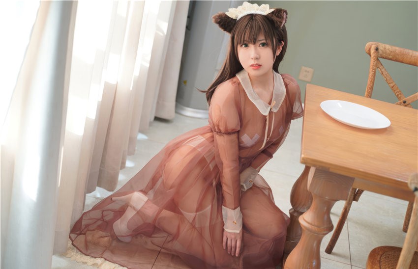 虎森森 棕色透明女仆 [35P-229MB] 第3张